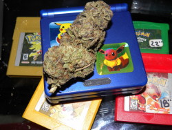 the-stoner-sage:  tokemon master! 