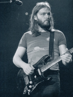 pinkfloyded:  David Gilmour and Pink Floyd at Wembley March 1977