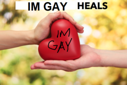 imgayjokes: Introducing I’m gay heals So I noticed how  