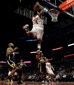 paulcuipp3:  D-Rose　！