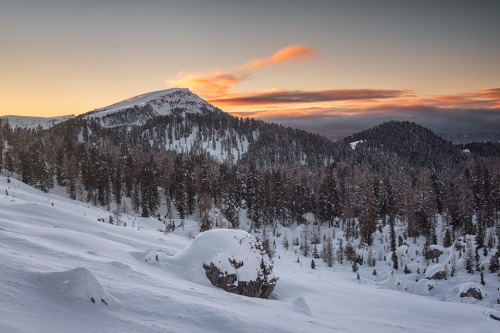 marbleslab:  Into the wild by  Lukas Furlan