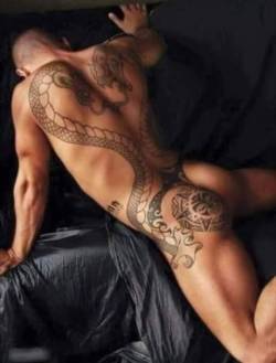 f-h-l-an-a-flutterby:  luvleebx:  f-h-l-an-a-flutterby:  Oh holy