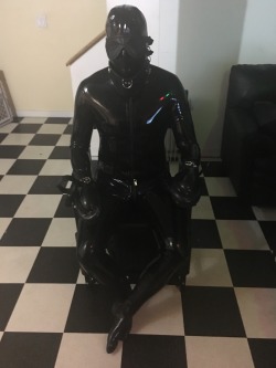 rubberelectropoppers:  Gimp got to stare at itself in a mirror