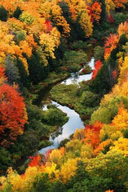 lifeisverybeautiful:A River Runs Through It by posthumus_cake Via