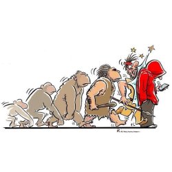 nandras:  evolúció 