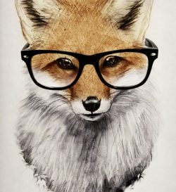 bestonlinecreations:  Mr Fox