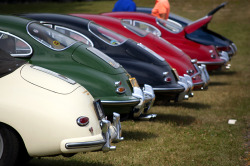 gurneyeagle46:  A row of bathtubs. [Jacques Dresang Photo]  Nice bums