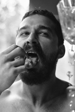 daddyslolitababy:  whitegirlsaintshit:  hjaertdjur:  Shia LaBeoufphotographed by