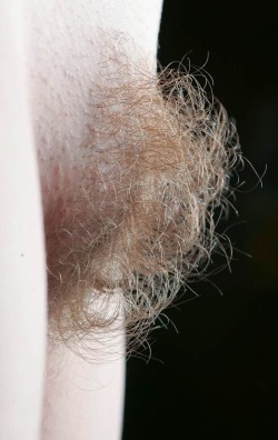 hairypictures:  Hairy Pictures  beautyful! an artwork