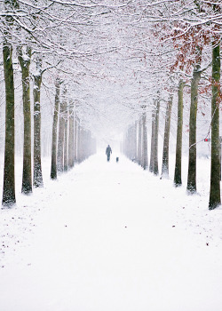 etherealvistas:  Snowing in the Netherlands by Benjamin Essen
