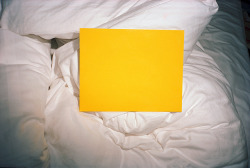 mkuks:  Yellow by Marlon Kowalski on Flickr.