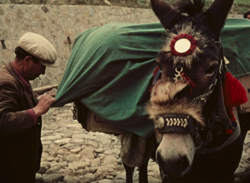365filmsbyauroranocte:  I dimenticati (Vittorio De Seta, 1959)
