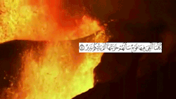 نورة محمد