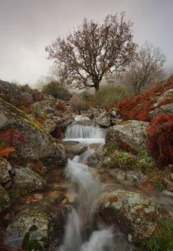 like a stage set sapphire1707:  v | by JuanPavon | http://ift.tt/1uJXwpG  (Gredos,