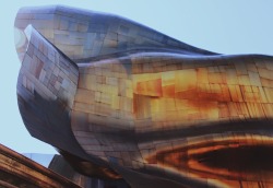 mattcrucius:EMP Museum designed by Frank Gehry Seattle, WA