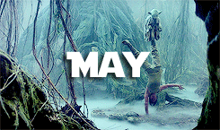 stannisbarathcon:  Happy Star Wars Day!! May the Fourth be with you!!