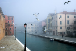 bruisedandleftbehind-blog:     early morning mist in Venice