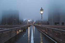 gabrielrobertflores:  a foggy morning downtown 