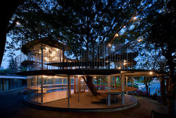 sixpenceee:  Japanese Kindergarten Built Around A Tree With A