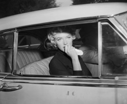 lesbeehive:  Les Beehive - Marilyn Monroe announcing her divorce