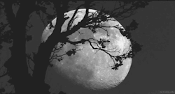 ✞.闇の王子.✞