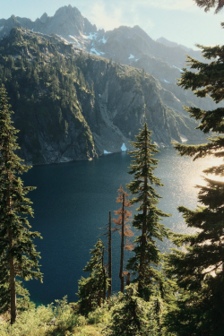 expressions-of-nature:  by brannonronia 