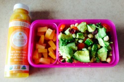 One Fit Berry