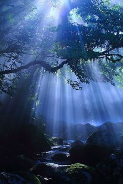 bluepueblo:  Blue Rays, Kikuchi Gorge, Kumamoto, Japan photo