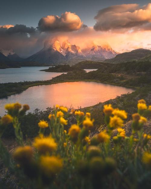 oneshotolive:  Patagonia summer, Torres del Paine NP, Chile [864x1080][OC]
