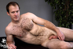 nevertoohairy:  WHAT’S UP FOLLOWERS?  Did you know there are