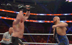 wrasslormonkey:  He… he punched! (by @WrasslorMonkey)