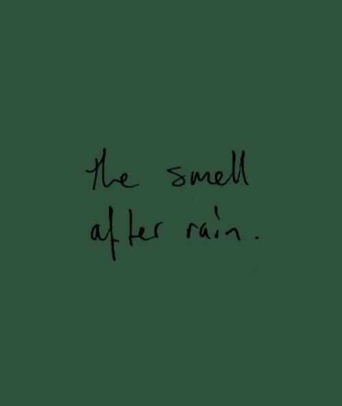 A Rose by any other Name would Smell as Sweet