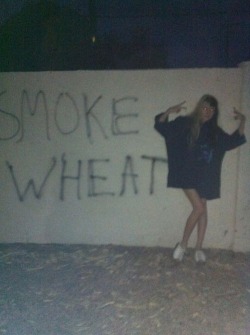 theofficialcitycouncil:  mortuary-mary:  legalize wheat and wheat
