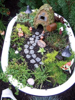 herbhaven:  I used to have a fairy garden, and this makes me