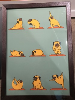 Puglaties :)  Http://thehappypup.com