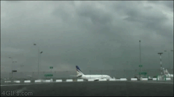 starlancerthereliant:  4gifs:  When airport employees get bored