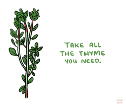 positivedoodles:  [Image Description: Drawing of thyme next to