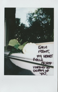 haleyincarnate:  Each night, my heart falls asleep hoping to