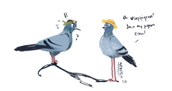 demdoodles:  MUGIWARA ROCK PIGEONS 