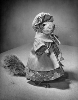 Nina Leen - Fashion squirrel, 1940’s. In the 1940s a squirrel
