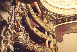 hughypanaro:  opéra garnier 