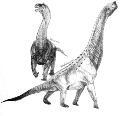 a-humble-goblin:  Two sauropods for today, Abrosaurus and Abydosaurus!