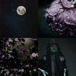 witchcraft-aesthetics:    ☽◯☾ WITCHCRAFT AESTHETICS ☽◯☾