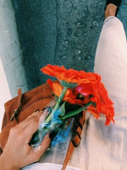 metropolitanh:  Bought some flowers on the way home / 