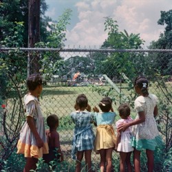 historiespast:  Black children looking in on a whites-only playground,