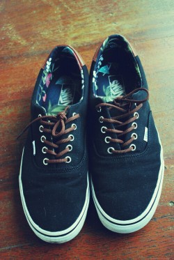imma0unicorn:  crackburgers:  My vans are better than yours 