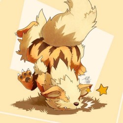 idoartandshit:  Well this adorable. #arcanine #adorkable #rawr