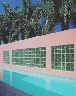 dreamwarecorp:  P o o l s i d e 🌴 #retro #80s #1980s #90s