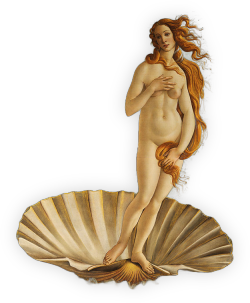 totallytransparent:  Transparent Venus (from ‘The Birth Of