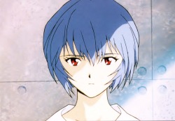 wolf116:  Rei ayanami